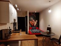 Apartament pod Szyndzielnią, Dębowiec - B&B Bielsko-Biala