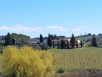 CASA PARTINGOLI - B&B Pian de' Cerri