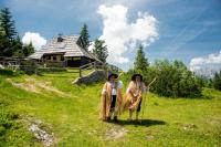 B&B Stahovica - Chalet Tisa Velika Planina - Bed and Breakfast Stahovica