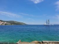 Villa Nevenka - B&B Traù