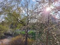 Landpartie - B&B Freckenfeld