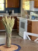 Charming house in Sevierville Family friendly Quiet location Close to Wilderness - Chambres d'hôtes Sevierville