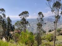 IslaMontaña Glamping - Bed and Breakfast