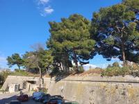 Habitación Doble Deluxe