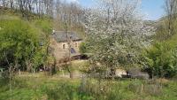 maison isolée dans les vignes et les bois - Ferienwohnung