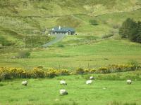 B&B Leenane - Mountainview B&B - Bed and Breakfast Leenane