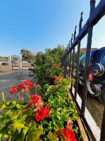 Apartments Dalmatia - B&B Grebaštica