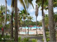 Grand studio 4 pers superbe vue mer et cocotiers dans Village Vacances Sainte-Anne plage à - 30 m - Chambres d'hôtes Sainte-Anne