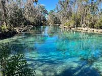House of Manatees-Entire house with yard, fire pit, dog friendly - Chambres d'hôtes Crystal River