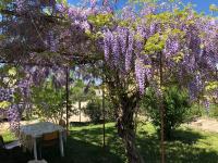 Gite climatisé avec piscine sur les hauteurs de Bollene - B&B Bollène