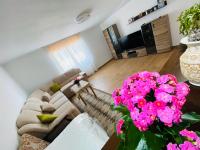 Andrei's house - B&B