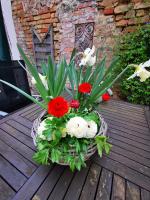 Casa con 2 Camere da Letto