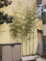 Bamboo cosy apartment - Chambres d’hôtes Kavala