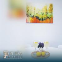 Apartment Pleša - B&B