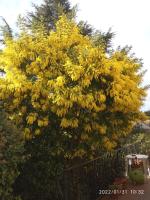 CHAMBRE salle de bains privée Jardin Arboré - B&B Montpellier