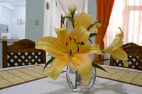 Hermoso departamento confortable y estratégico - Chambres d’hôtes Sucre