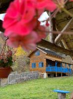 B&B Băile Olăneşti - Casa Brună - Bed and Breakfast Băile Olăneşti