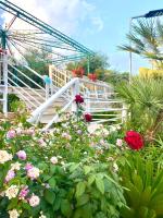 Villa Elisa - B&B Minturno