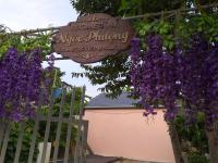 Homestay view đồi Hòn Sơn - B&B Lai Sơn