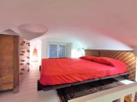 Jungle Fever - B&B Turín