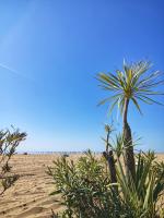 Appartamenti Keplero - B&B Bibione