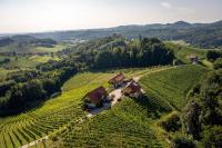 Ferienwohnung Weingut Birnstingl - Bed and Breakfast