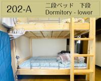 Bunk Bed in Mixed Dormitory Room