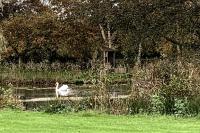 Gatekeeper Cottage - B&B Norwich