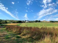 Huntstile Organic Farm - B&B