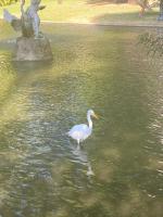 Apartamentozonasul - Ferienwohnung Rio de Janeiro