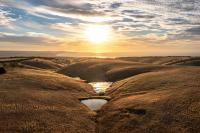 Suite con cama extragrande y vistas al mar