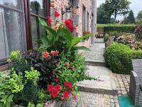 Au Coeur des Collines, Charmette - B&B Ellezelles