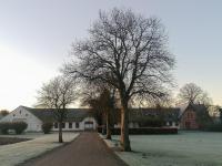 Edelsminde Bed & Breakfast - B&B