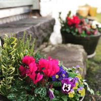 Nether Glenny Farm - B&B Stirling