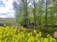 Casa Can Boix - B&B