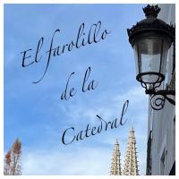 EL FAROLILLO DE LA CATEDRAL VIVIENDA DE USO TURISTICO VUT 9/251 - Ferienwohnung Burgos