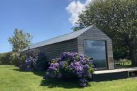 The Cabin at Barnstormers, luxury woodland setting - Chambres d’hôtes Marldon