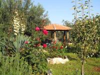 B&B Zadar - Apartments Branimir - Bed and Breakfast Zadar