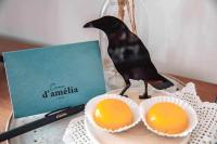 Casa dAmélia - B&B Leiria