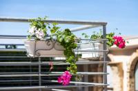 Rooms Dream Tropea - B&B Tropea