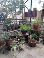 Appartement - Begane Grond