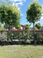 Pace, Luminosità e Comodità a due passi dal Garda - Ferienwohnung Volta Mantovana