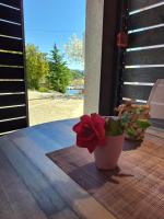 Roberto Apartment - B&B Baćina