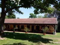 Studio with Garden View