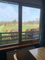 Orchard House Lodges by Ecohuman - B&B Haddington