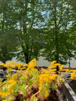 Habitación Doble con baño privado externo - 1 o 2 camas