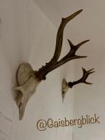 Gaisbergblick - B&B Molln