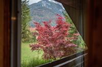 Appartamento con 2 Camere da Letto e Balcone
