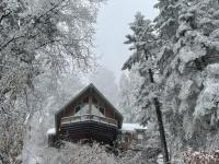 Sweet getaway in private Giant Sequoia Grove! - Bed and Breakfast