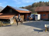 Gartenwohnung im Gut Sonnenwald - B&B Schöllnach